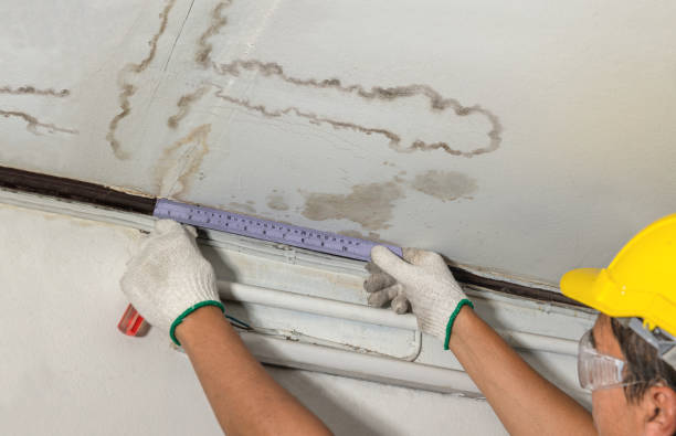 Reliable Water Damage contractor in Hye, TX by Water Damage Irwin